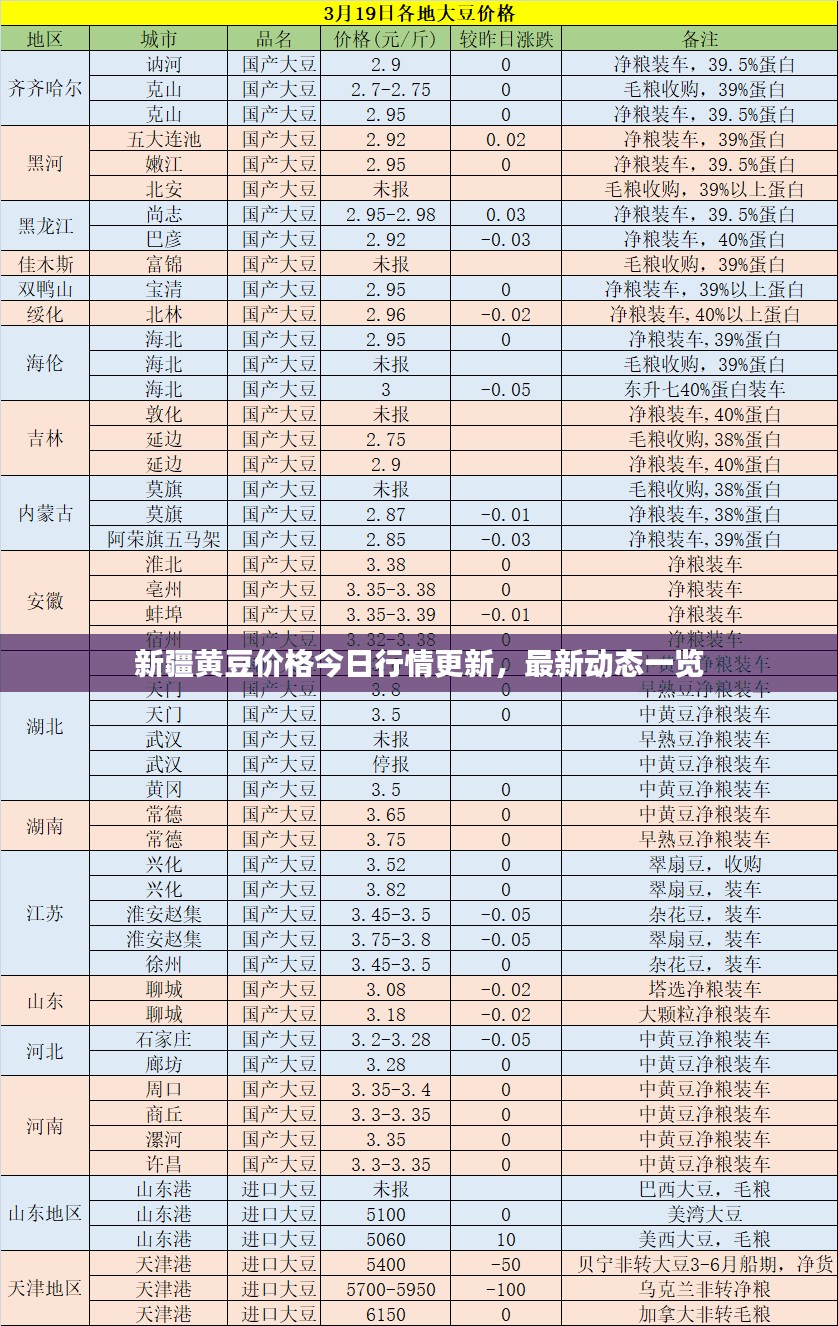 新疆黄豆价格今日行情更新，最新动态一览