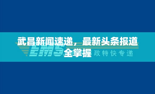 武昌新闻速递，最新头条报道全掌握