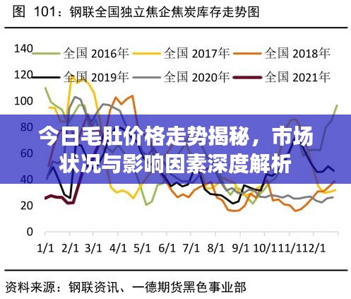 今日毛肚价格走势揭秘，市场状况与影响因素深度解析