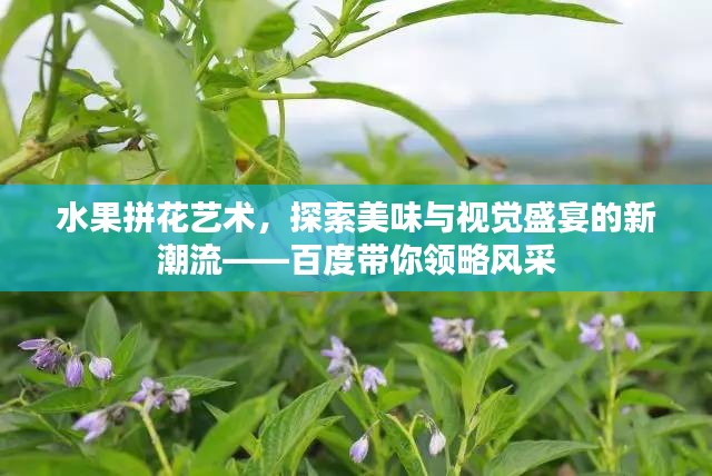 水果拼花艺术，探索美味与视觉盛宴的新潮流——百度带你领略风采