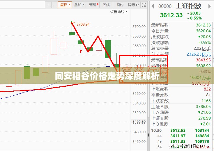 同安稻谷价格走势深度解析