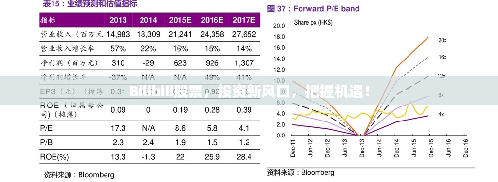 Bilibili股票，投资新风口，把握机遇！