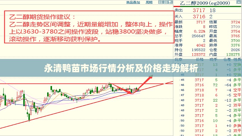 永清鸭苗市场行情分析及价格走势解析