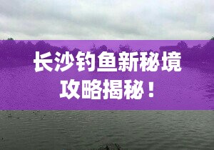 长沙钓鱼新秘境攻略揭秘！