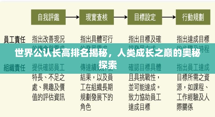 世界公认长高排名揭秘，人类成长之巅的奥秘探索