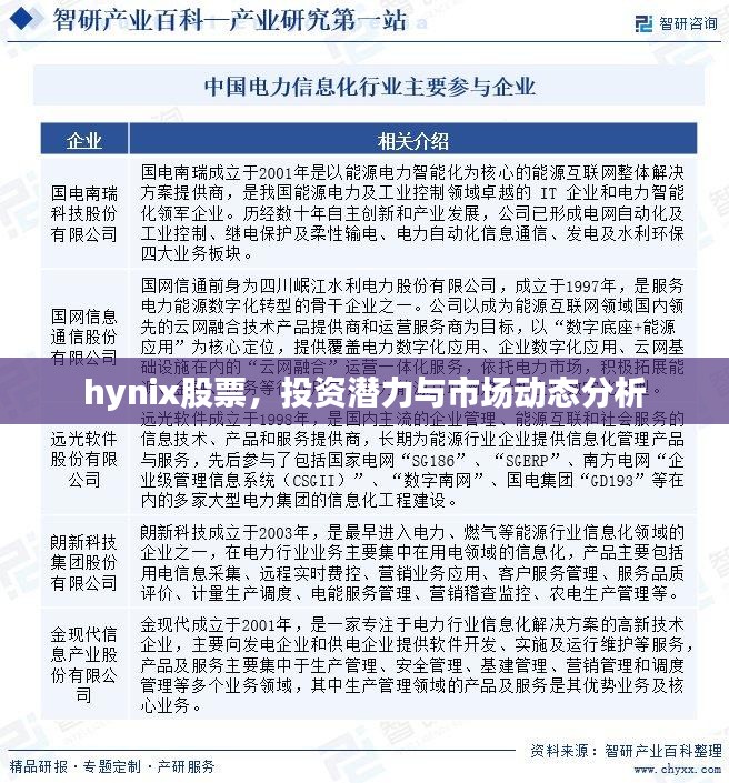 hynix股票，投资潜力与市场动态分析