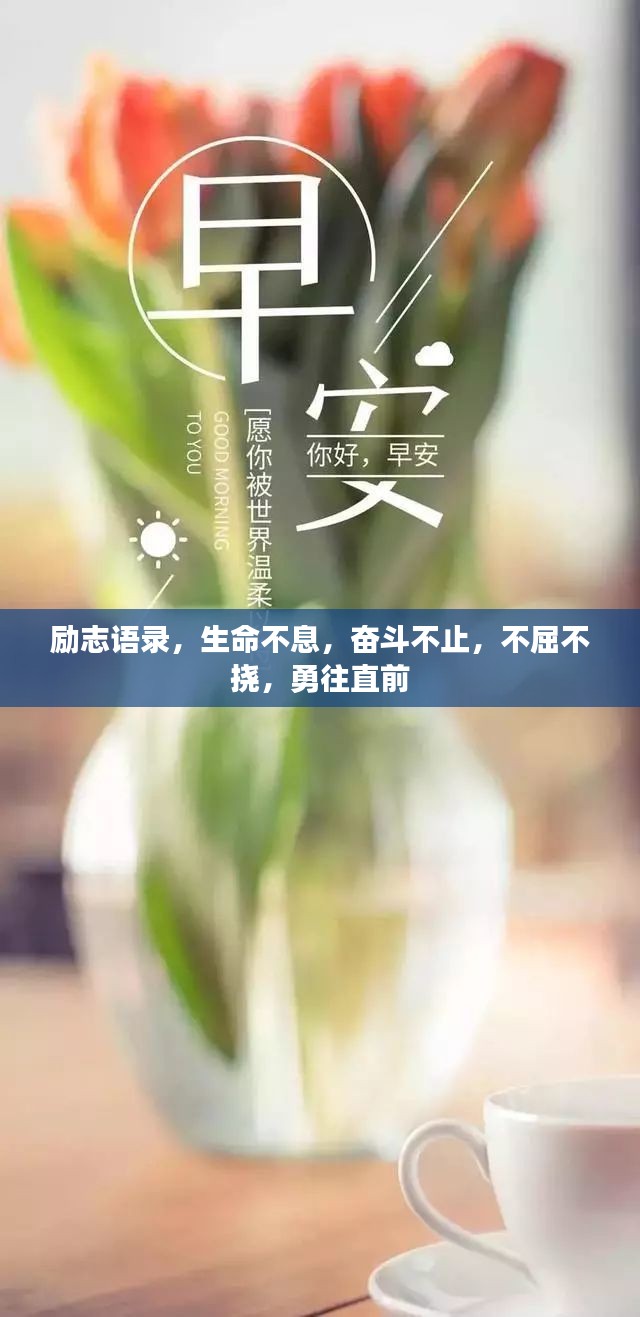 励志语录，生命不息，奋斗不止，不屈不挠，勇往直前