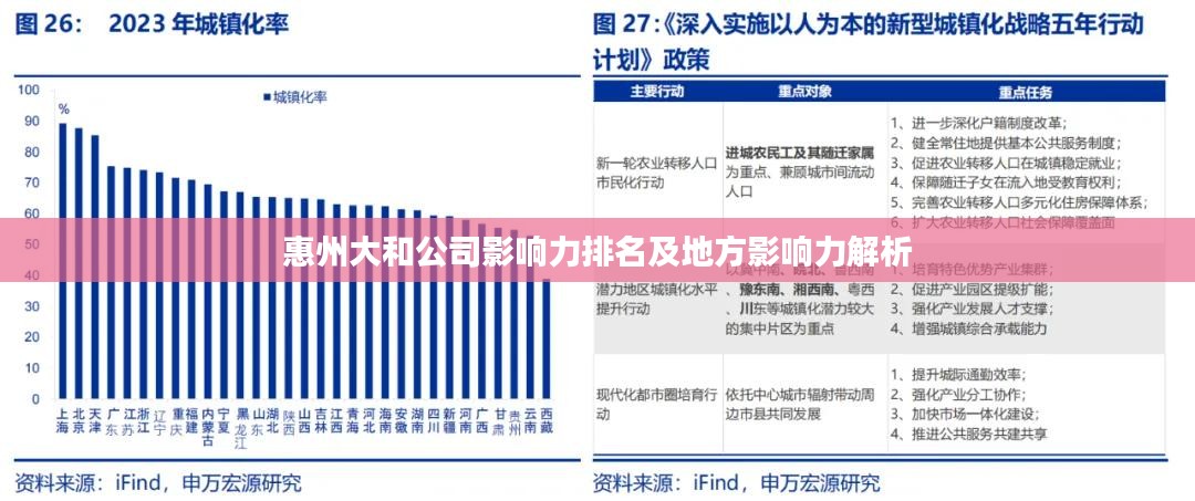 惠州大和公司影响力排名及地方影响力解析