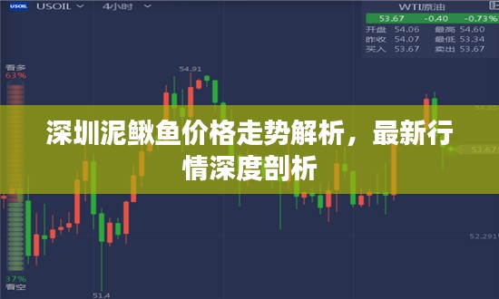 深圳泥鳅鱼价格走势解析，最新行情深度剖析