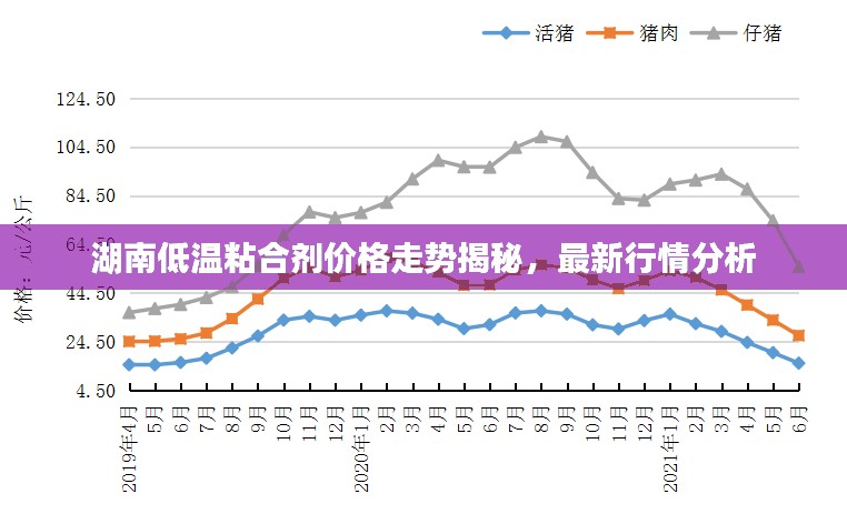 湖南低温粘合剂价格走势揭秘，最新行情分析