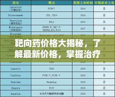 靶向药价格大揭秘，了解最新价格，掌握治疗主动权！