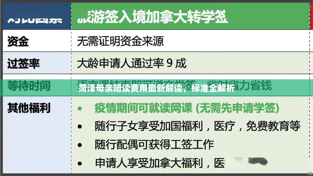 菏泽母亲陪读费用最新解读，标准全解析