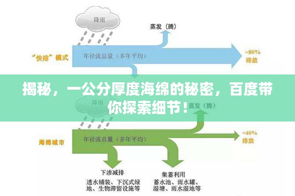 揭秘，一公分厚度海绵的秘密，百度带你探索细节！