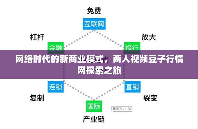 网络时代的新商业模式，两人视频豆子行情网探索之旅