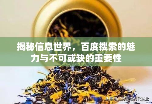 揭秘信息世界，百度搜索的魅力与不可或缺的重要性