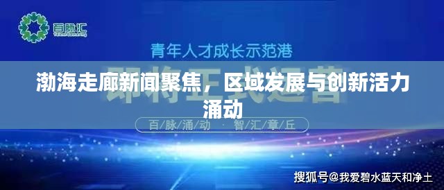 渤海走廊新闻聚焦，区域发展与创新活力涌动