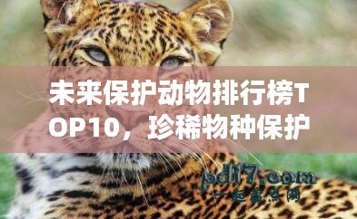 未来保护动物排行榜TOP10，珍稀物种保护瞩目，哪些动物荣登榜单？