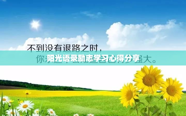 阳光语录励志学习心得分享