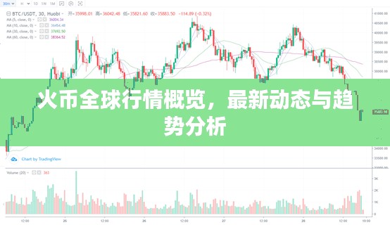 火币全球行情概览，最新动态与趋势分析