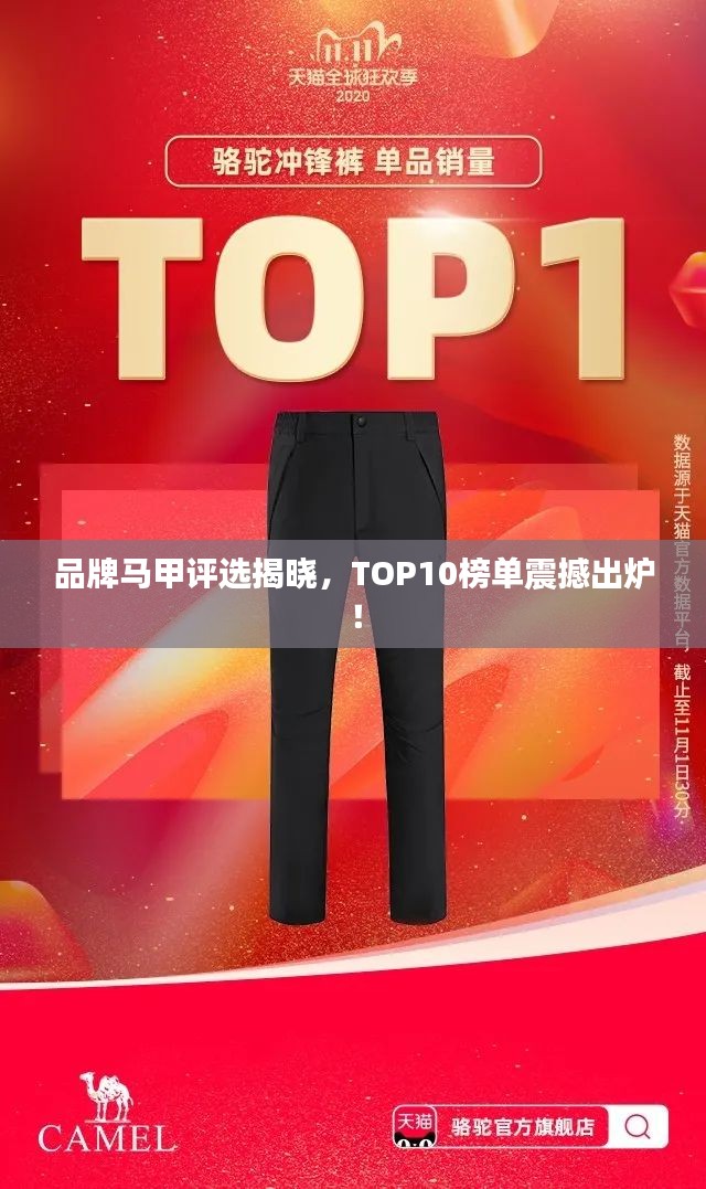 品牌马甲评选揭晓，TOP10榜单震撼出炉！