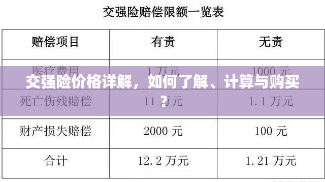 交强险价格详解，如何了解、计算与购买？