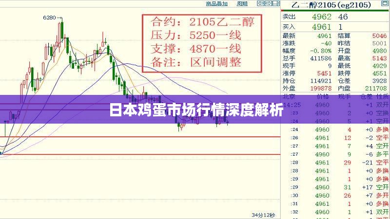 日本鸡蛋市场行情深度解析