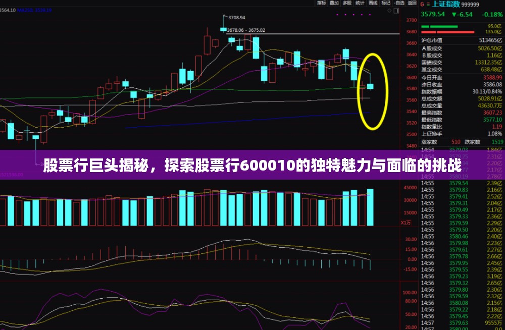 股票行巨头揭秘，探索股票行600010的独特魅力与面临的挑战