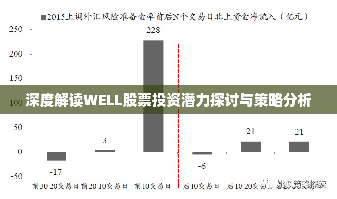 深度解读WELL股票投资潜力探讨与策略分析