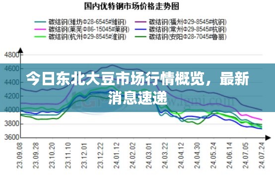 今日东北大豆市场行情概览，最新消息速递