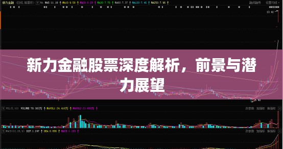 新力金融股票深度解析，前景与潜力展望