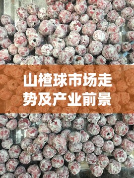 山楂球市场走势及产业前景展望