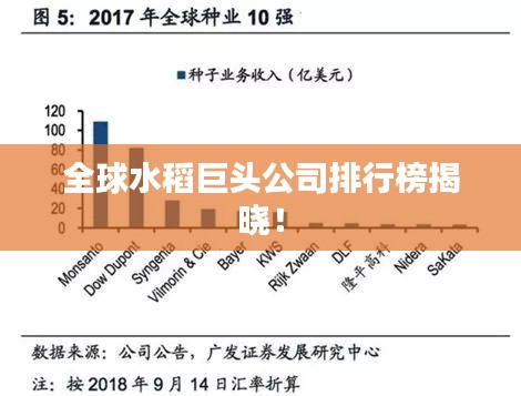 全球水稻巨头公司排行榜揭晓！