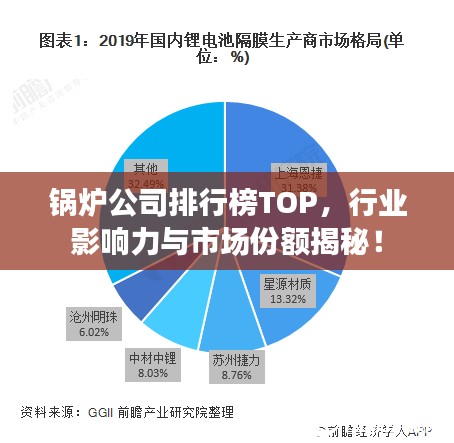 锅炉公司排行榜TOP，行业影响力与市场份额揭秘！