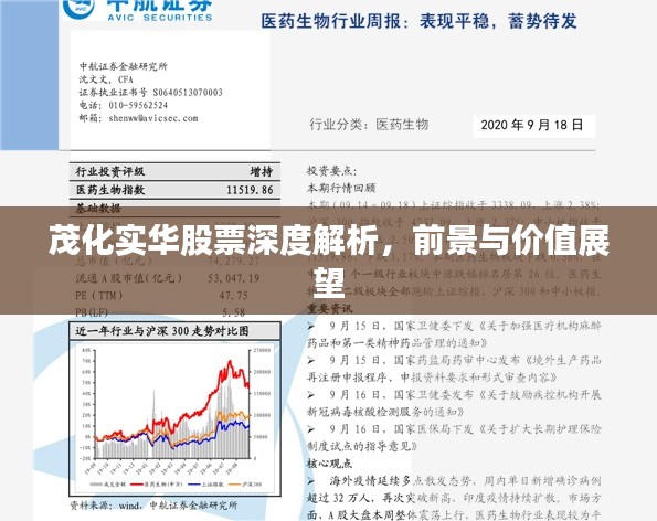 茂化实华股票深度解析，前景与价值展望