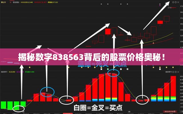 揭秘数字838563背后的股票价格奥秘！