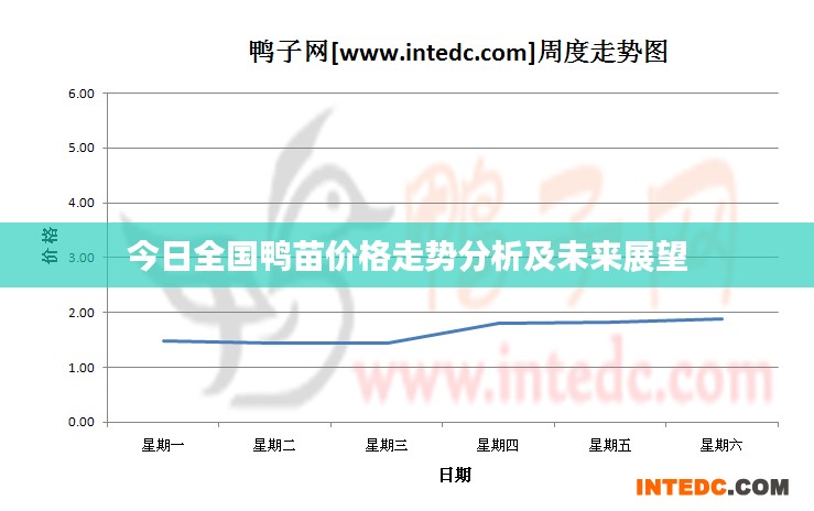 今日全国鸭苗价格走势分析及未来展望