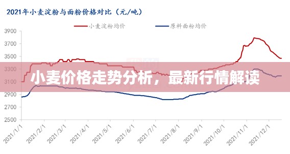 小麦价格走势分析，最新行情解读