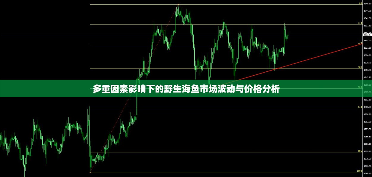 多重因素影响下的野生海鱼市场波动与价格分析