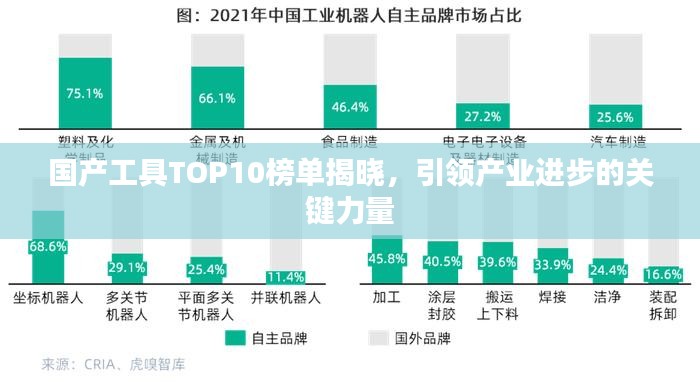 国产工具TOP10榜单揭晓，引领产业进步的关键力量