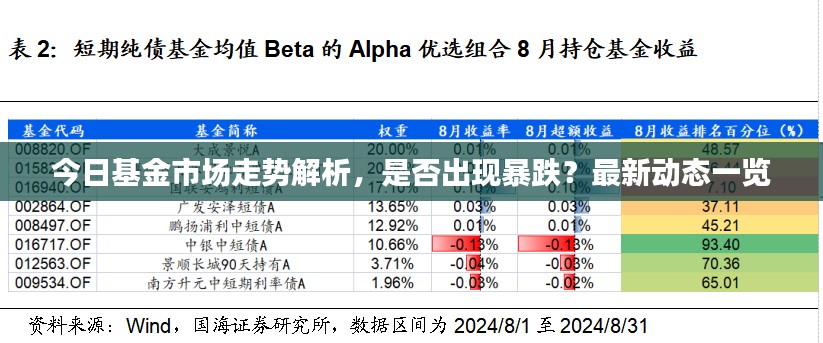 今日基金市场走势解析，是否出现暴跌？最新动态一览