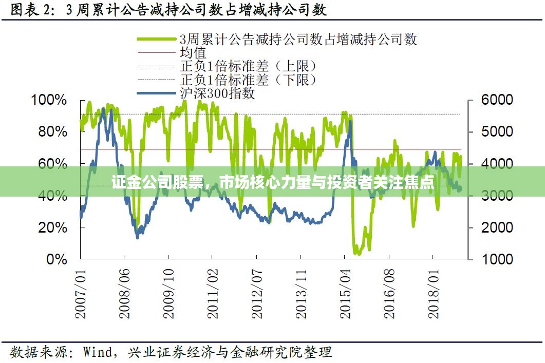 证金公司股票，市场核心力量与投资者关注焦点