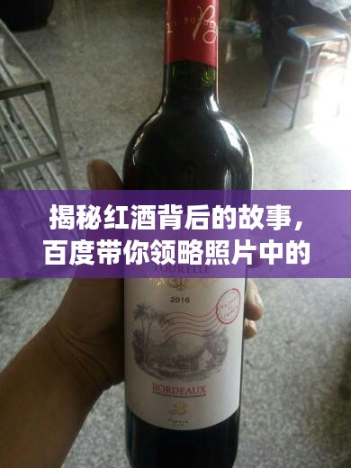 揭秘红酒背后的故事，百度带你领略照片中的酒韵之美