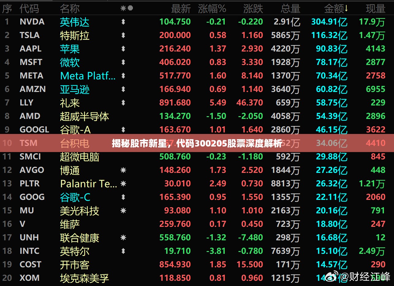 揭秘股市新星，代码300205股票深度解析