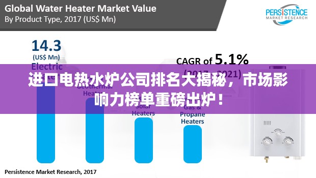 进口电热水炉公司排名大揭秘，市场影响力榜单重磅出炉！