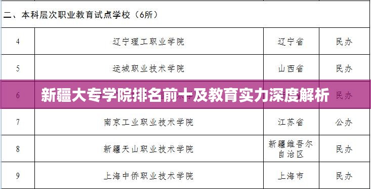 新疆大专学院排名前十及教育实力深度解析