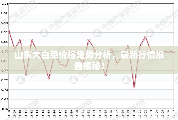 山东大白菜价格走势分析，最新行情报告揭秘！