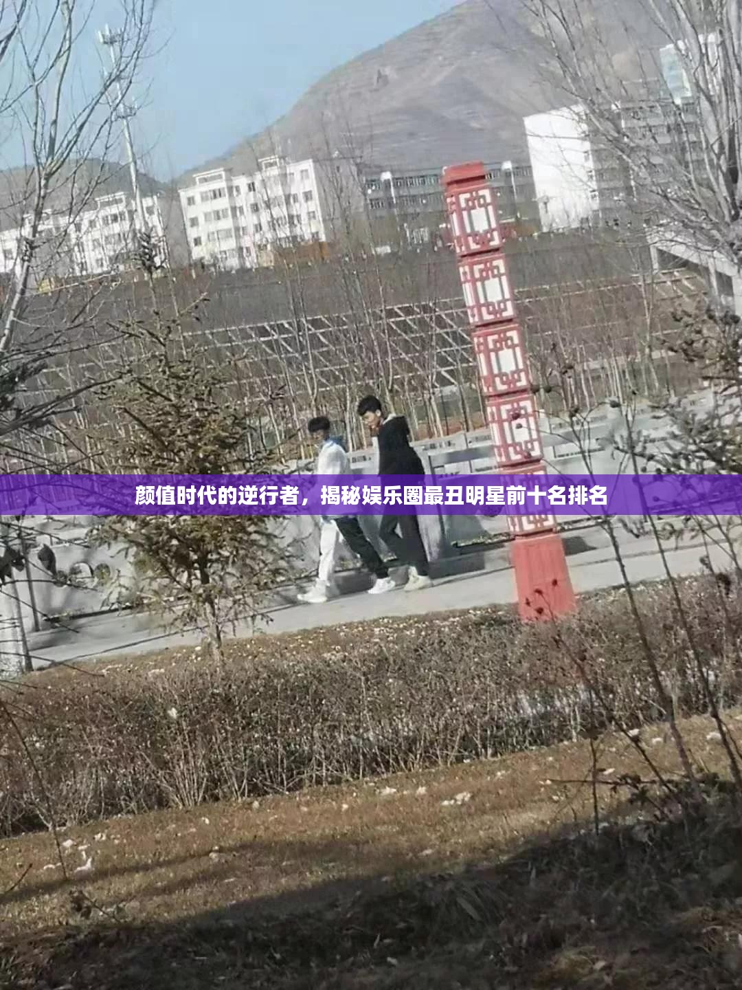 颜值时代的逆行者，揭秘娱乐圈最丑明星前十名排名