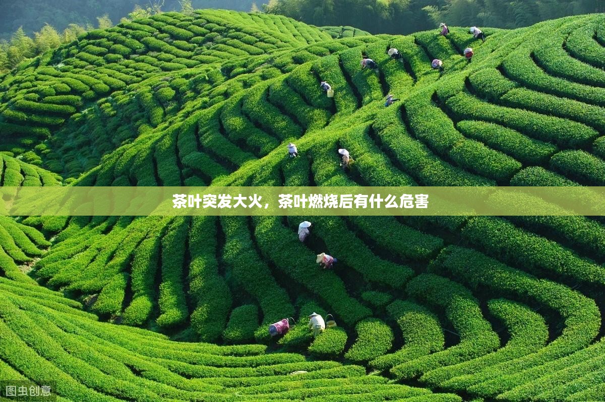 茶叶突发大火，茶叶燃烧后有什么危害 