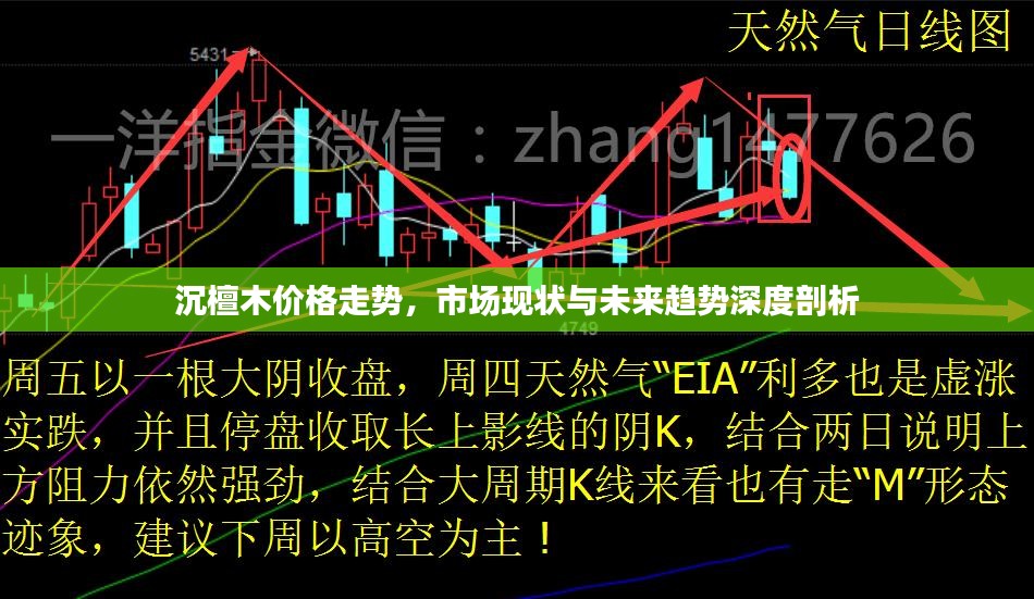 沉檀木价格走势，市场现状与未来趋势深度剖析