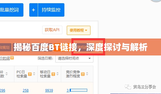 揭秘百度BT链接，深度探讨与解析